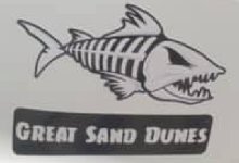 Great Sand Dunes Shark.jpg
